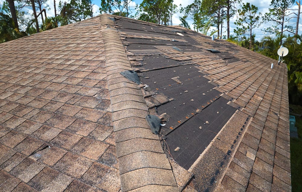 Roof Repair in Ocoee FL