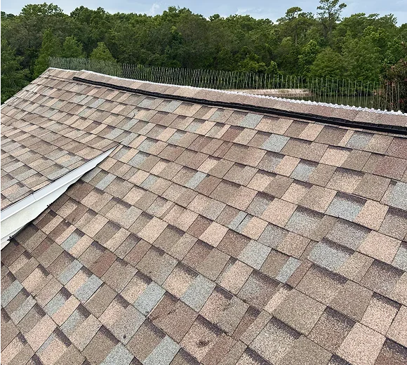 quality roof 2
